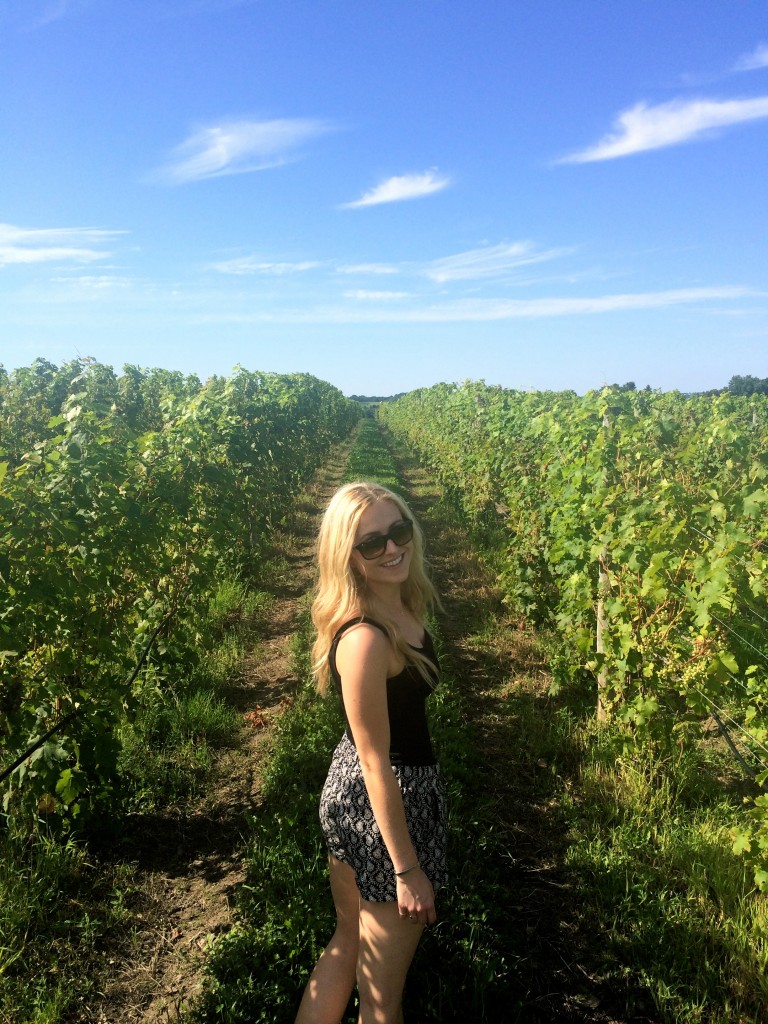 anyela's vineyard