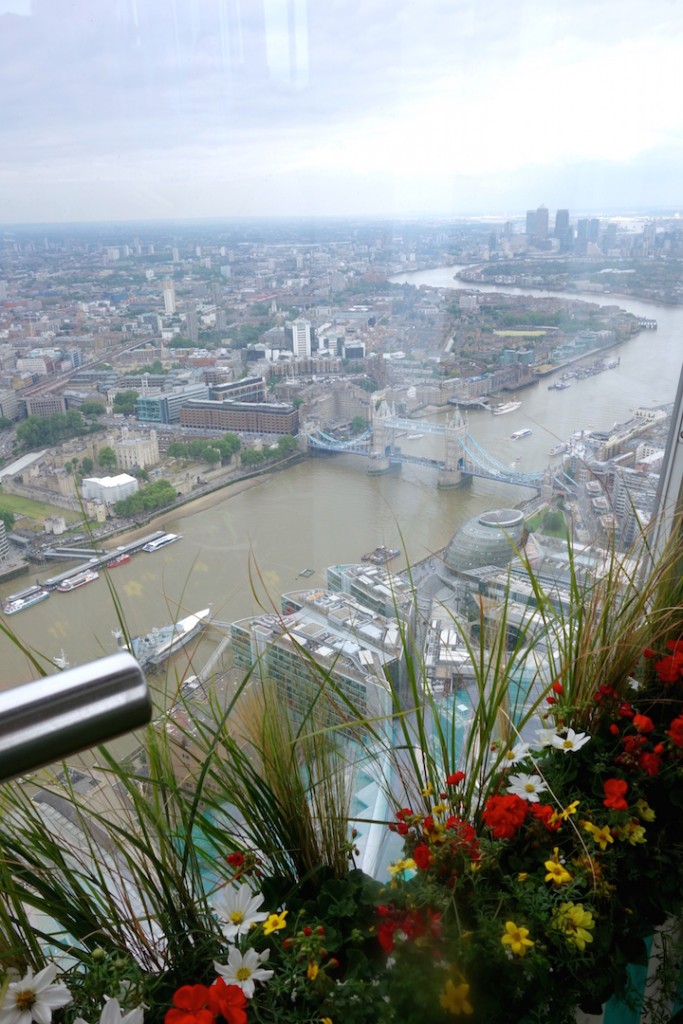 shard viewing gallery