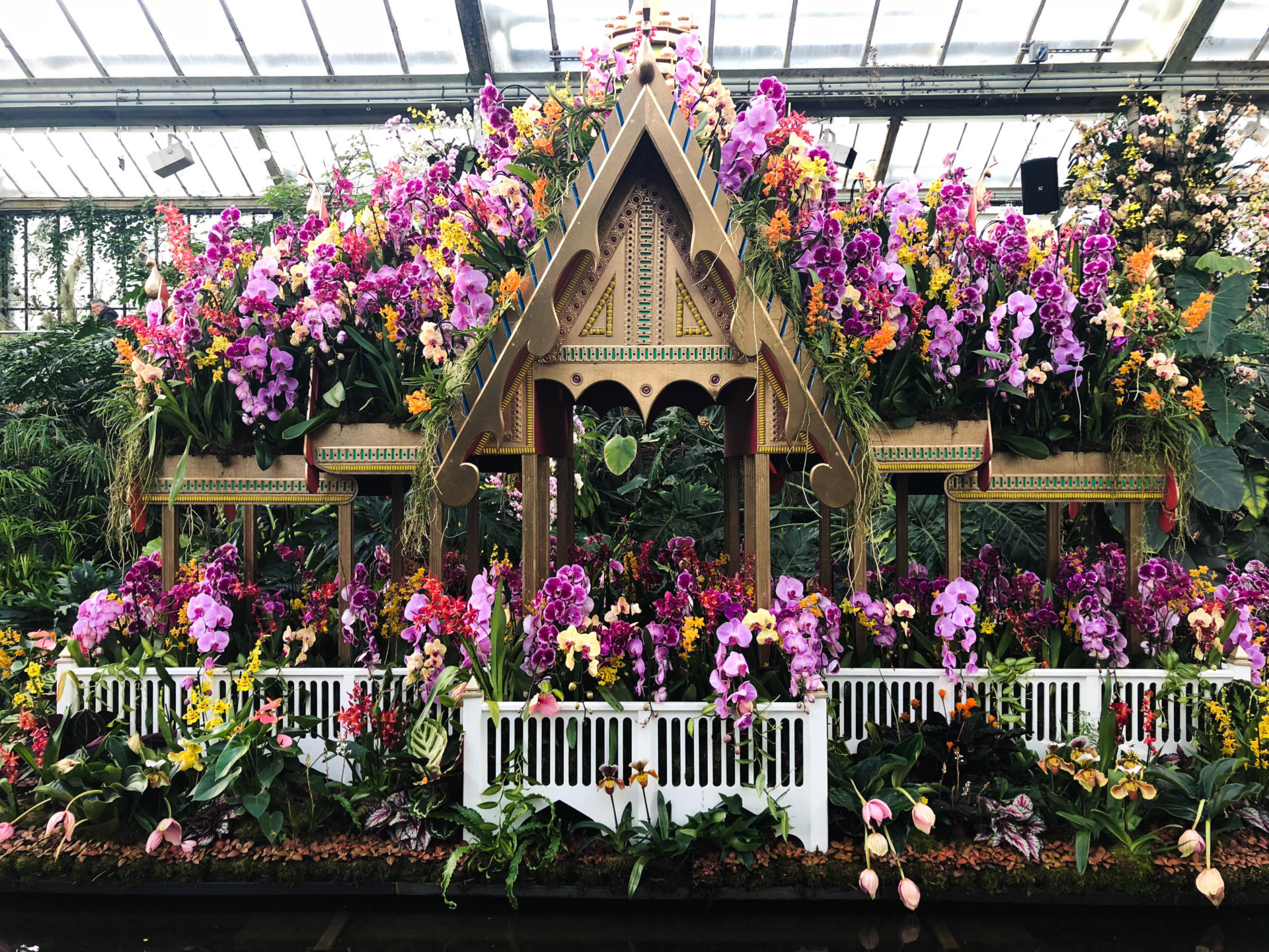 kew gardens london thai orchid festival