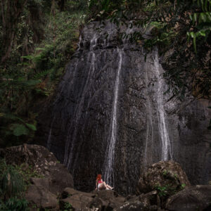 el yunque rainforest