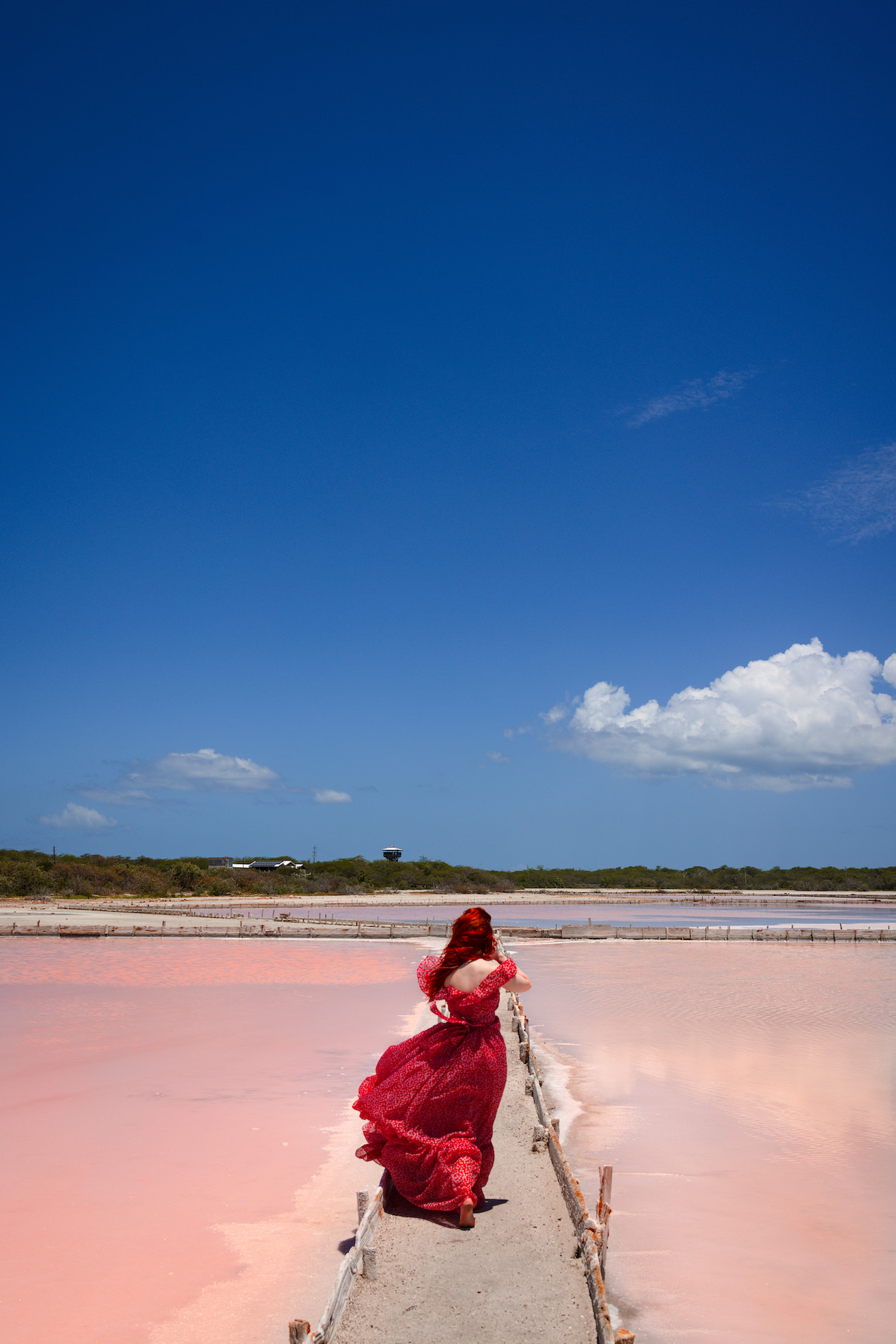 pink salt flats puerto rico