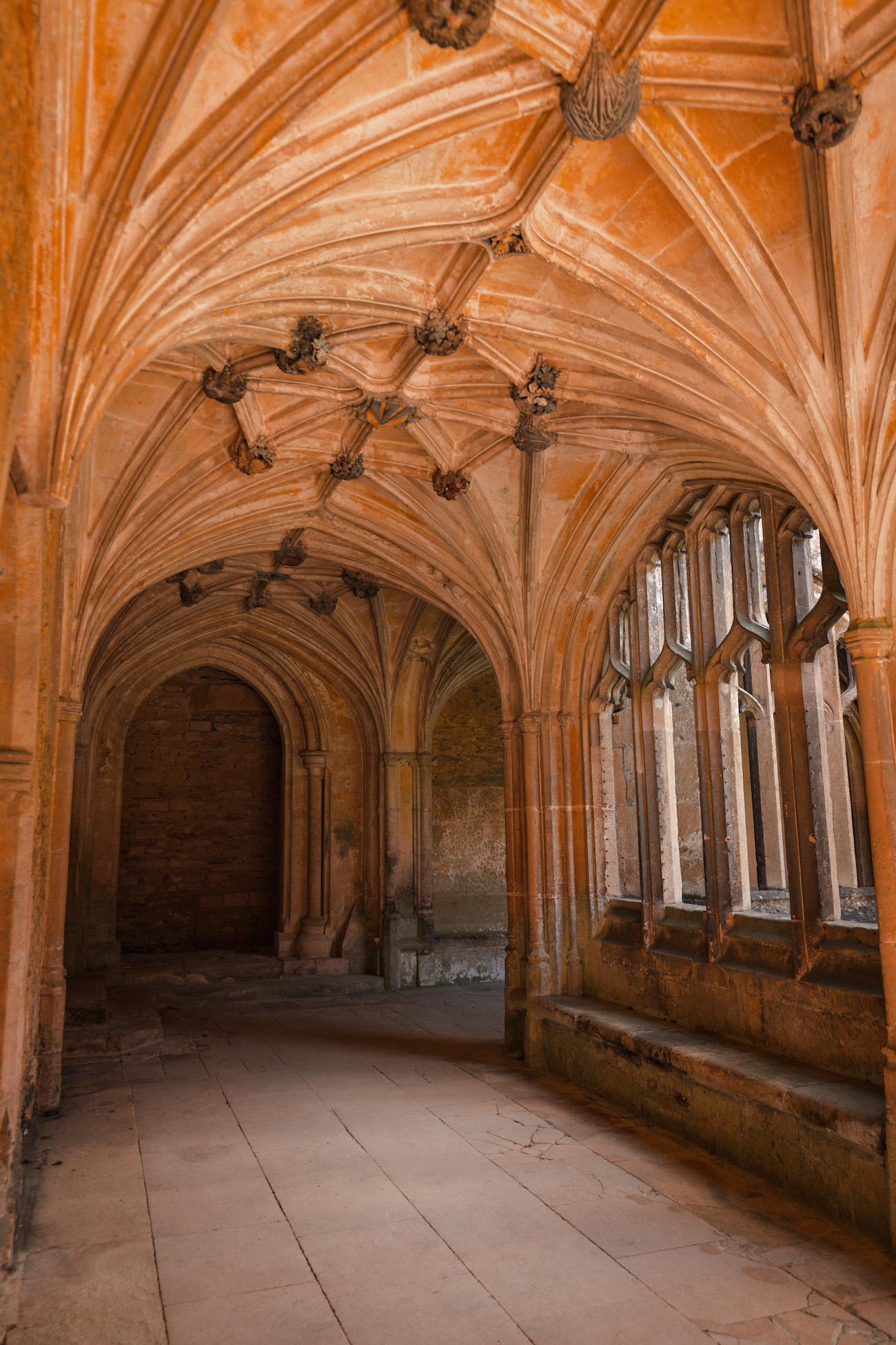 harry potter cloisters