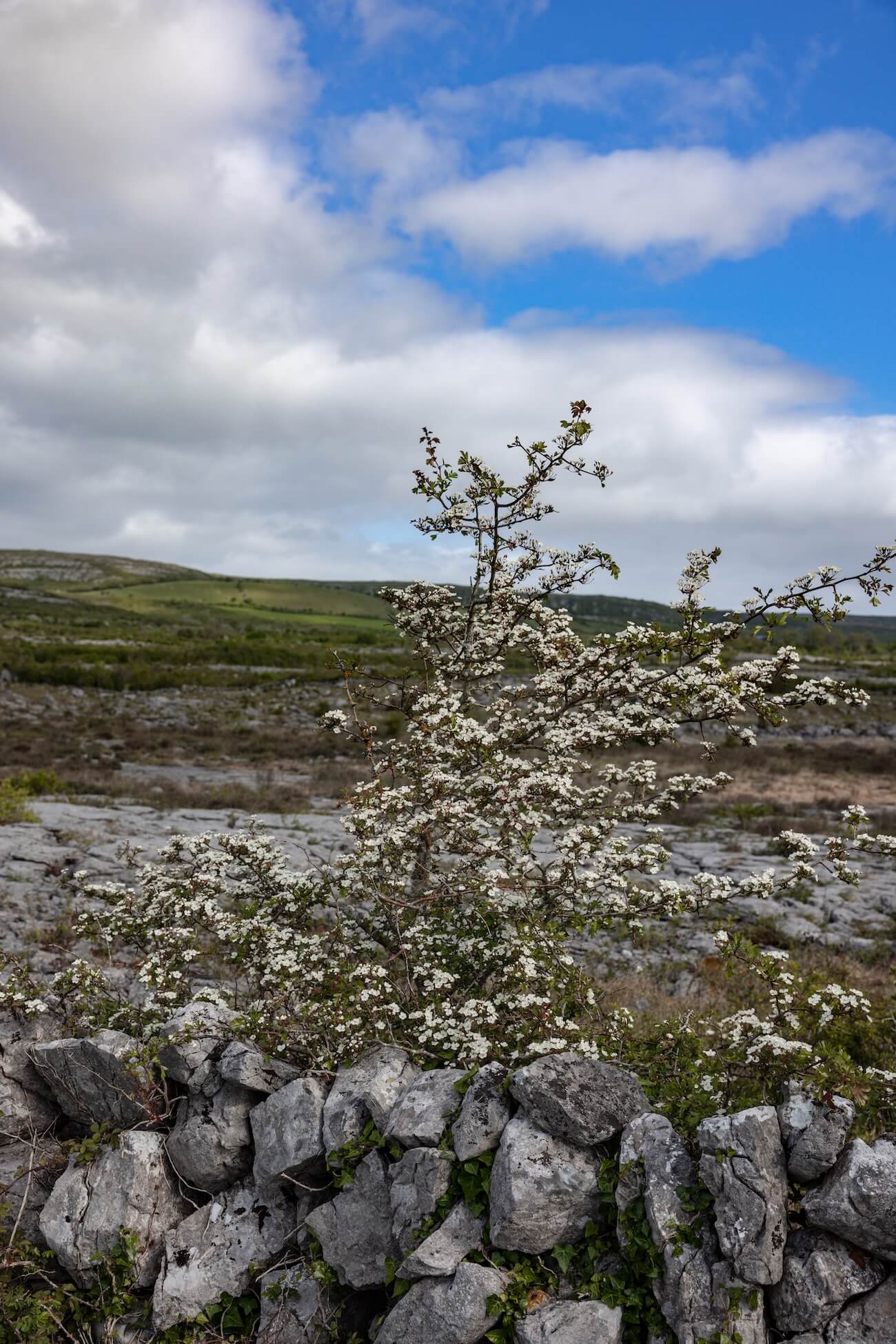 The Burren Ireland